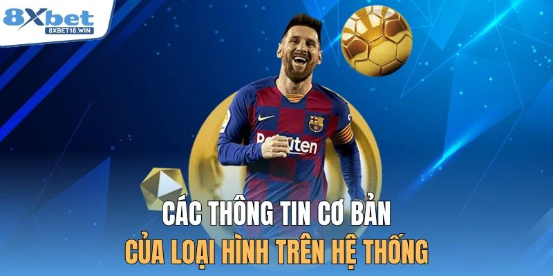 Các thông tin cơ bản của loại hình trên hệ thống